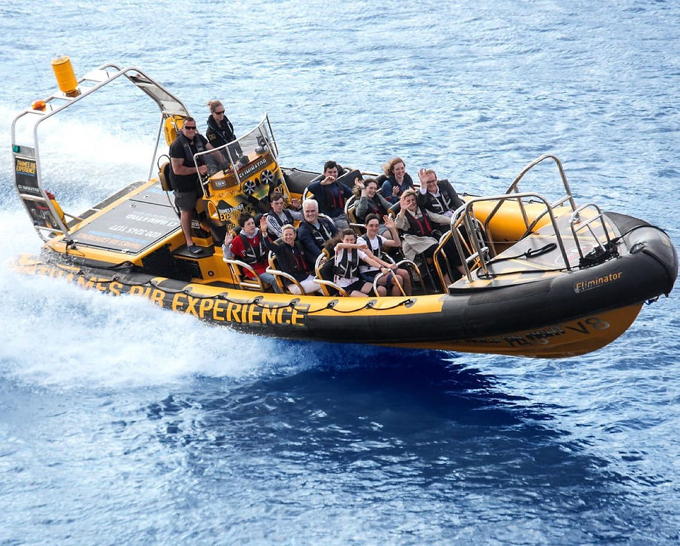 Sea safari and tourism vessel monitoring