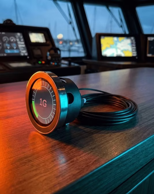 Vessel impact monitoring display