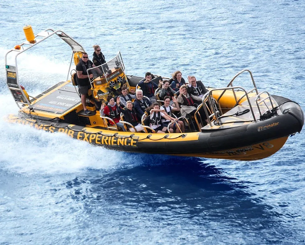 Sea safari and tourism vessel monitoring